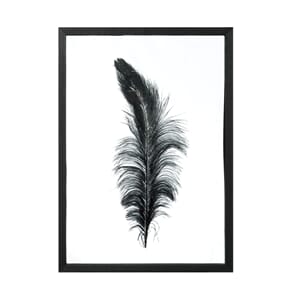 SYBIL FRAME WITH FEATHER BLACK