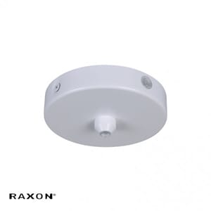 RX-PRO P1-connect 240V baldakin hvit