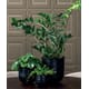FUMI ALUMINIUM FLOWERPOT BLACK XS