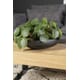 Lifestyle_Home_Collection_-56