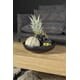 Lifestyle_Home_Collection_-57