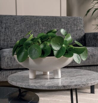 TIMEO BOWL WHITE S