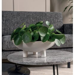 TIMEO BOWL WHITE S