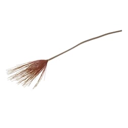 FALL CYPERUS SPRAY ORANGE