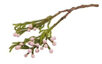BRUNIA SPRAY PINK