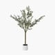MEDIUM OLIVE TREE IN POT 150 CM