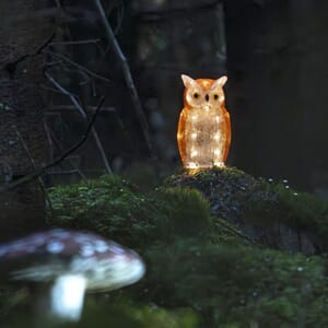 Ugle med varmhvite LED