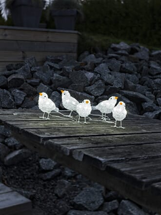 Sett av 5 fugler 11,5 cm akryl