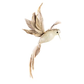 23 cm gull Kollibri