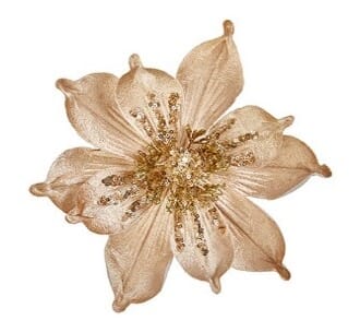 24cm champagne gull Magnolia med klype