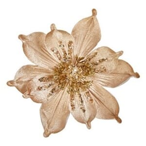 24cm champagne gull Magnolia med klype