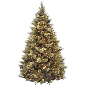 Carolina Pine 2,28 m 750 varmhvite LED