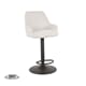 FENDER BAR CHAIR CHAMPAGNE TOUCH