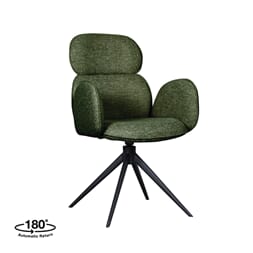 VIDAR DINING CHAIR WITH ARM FOREST