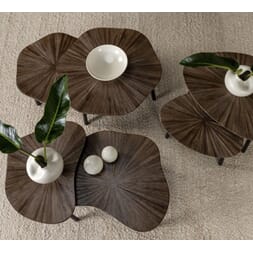 TAMPA ORGANIC COFFEE TABLE SET OF 2