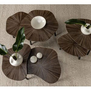 TAMPA ORGANIC COFFEE TABLE SET OF 2
