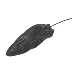 ELEPHANT EAR LEAF SPRAY