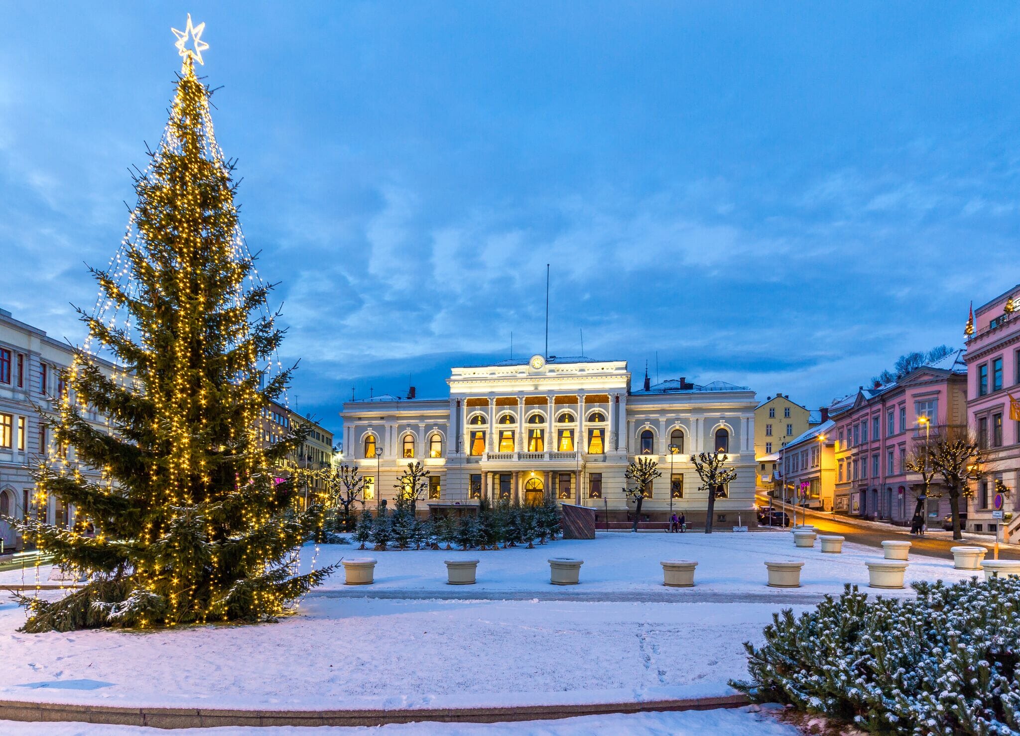 Julegran Skien - Trend Collection AS