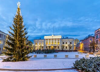 Julegran Skien