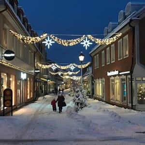 Girlang Moon Ø14/60cm L= 500cm 500 Varmvit LED 2700K