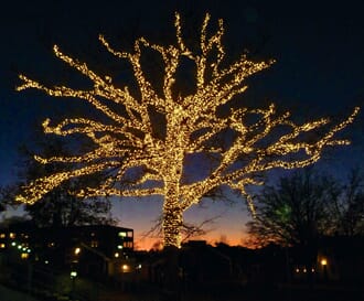 Vingparken