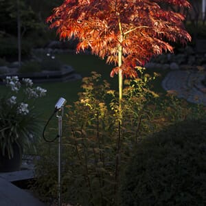 Monza spotlightstav LED 3W 77,5cm