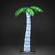 Palme 75 cm
